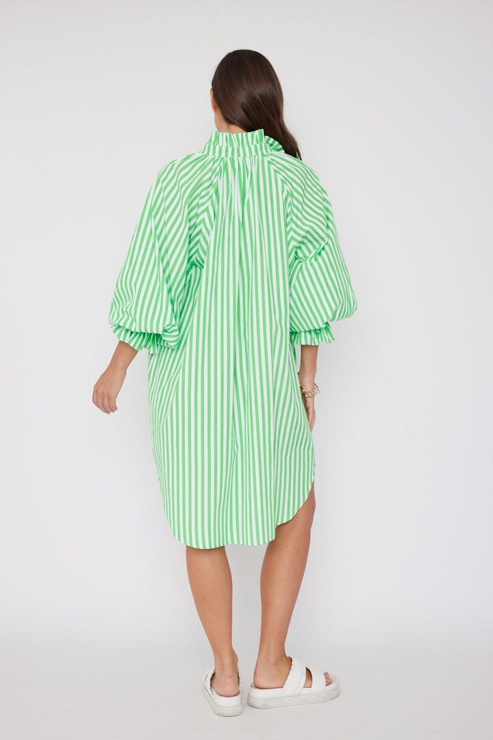 LYCIUM Dress Lime Stripe