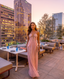 Aluma Crystal Chain Sheer Flow Maxi Dress